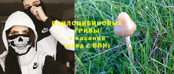 хмурый Михайлов