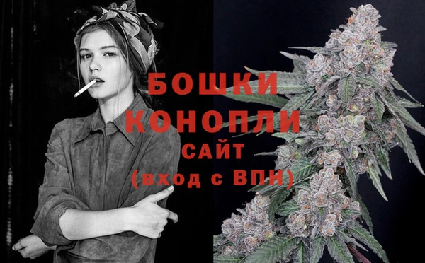 ГАЛЛЮЦИНОГЕННЫЕ ГРИБЫ Наволоки
