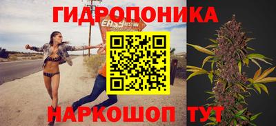 mix Кингисепп