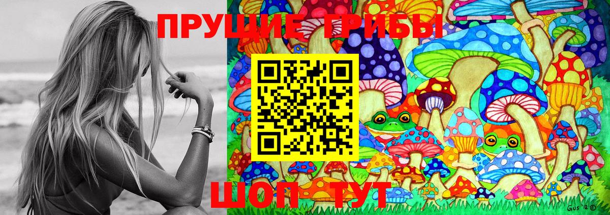 Галлюциногенные грибы прущие грибы  Мценск 