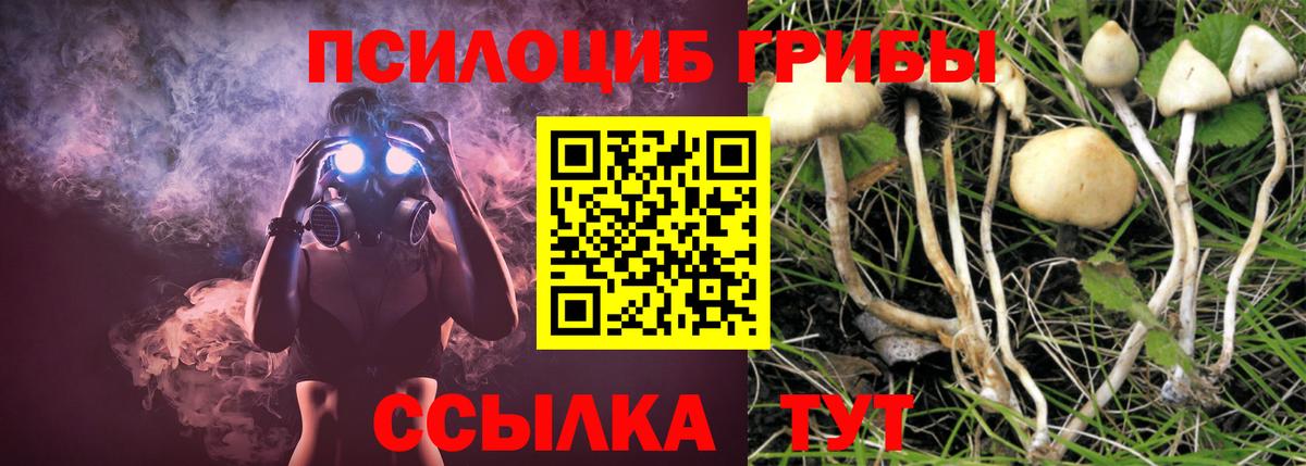 Мценск  Галлюциногенные грибы Psilocybine cubensis  наркошоп  Вход с VPN 
